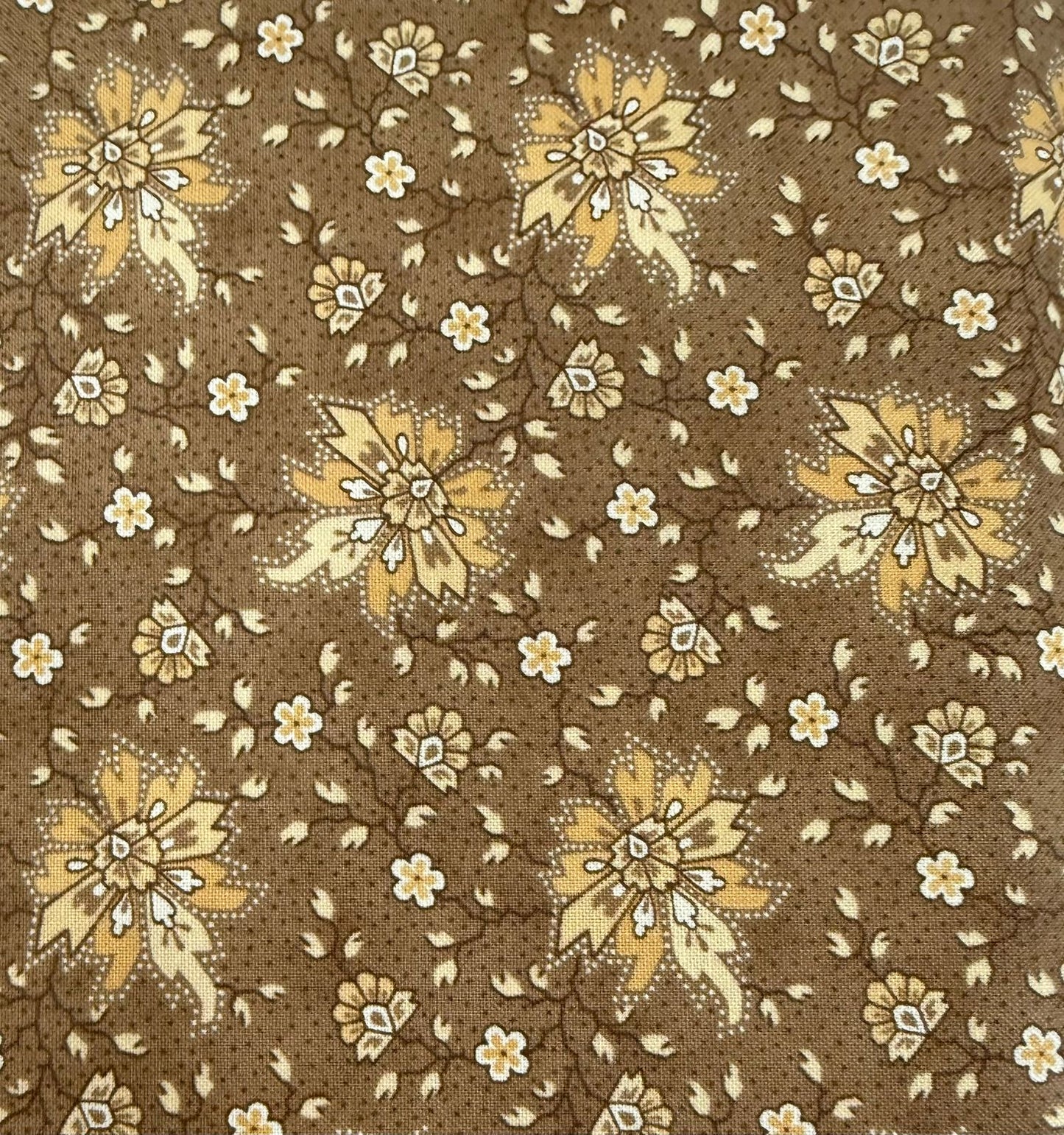 Brown wild